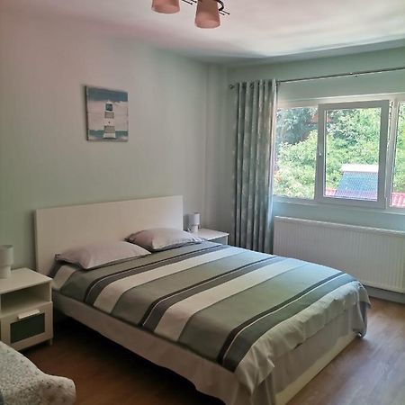 Ferienwohnung Montana Slanic Exterior foto